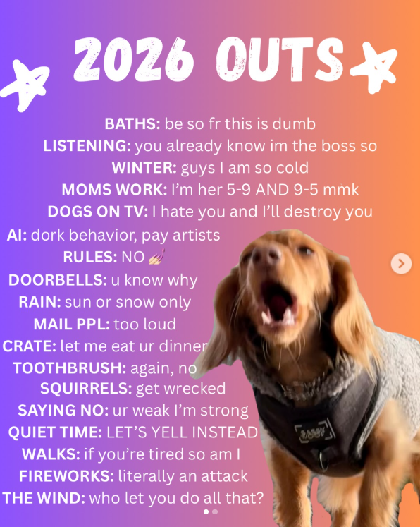 dachshund memes