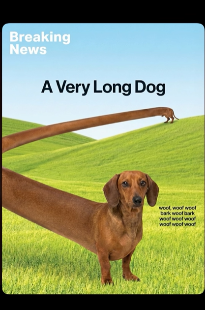 dachshund meme dachshund space