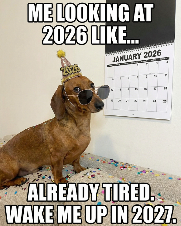 dachshund meme dachshund space