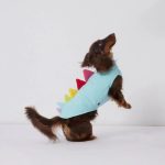 dino dachshund fleece vest
