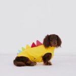 dino dachshund fleece vest