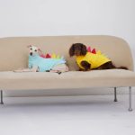 dino dachshund fleece vest
