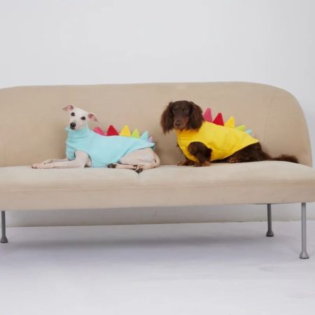 dino dachshund fleece vest