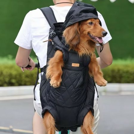 doxie backpack