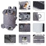 doxie backpack