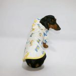 rainy rex doxie raincoat