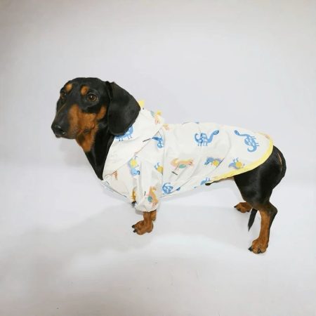 rainy rex doxie raincoat