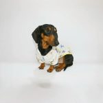 rainy rex doxie raincoat