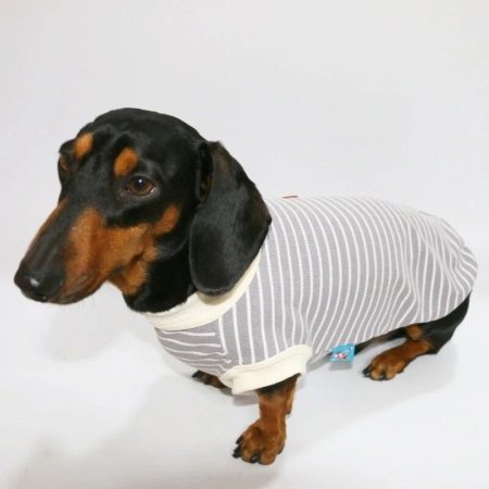 allerguard sleeveless dachshund tee