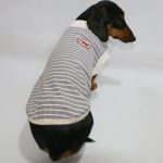 allerguard sleeveless dachshund tee