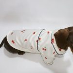 cherry satin dachshund pajamas