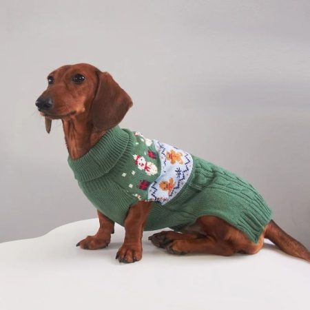 christmas dachshund sweater