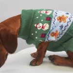 christmas dachshund sweater