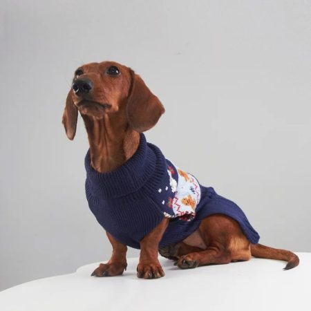 christmas dachshund sweater