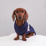 christmas dachshund sweater