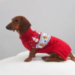 christmas dachshund sweater