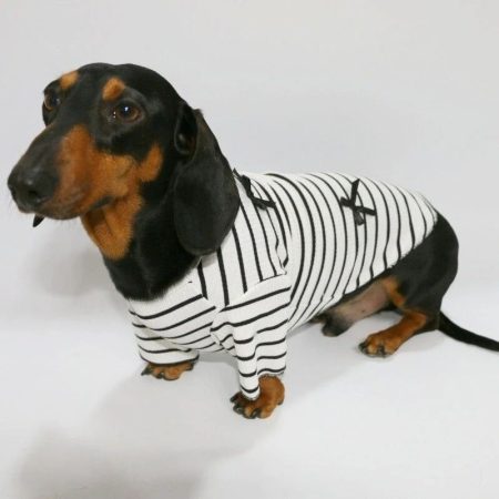 classic breton doxie shirt