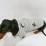 classic breton doxie shirt