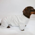 cloudsoft dachshund onesie