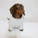 cloudsoft dachshund onesie