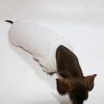 cloudsoft dachshund onesie
