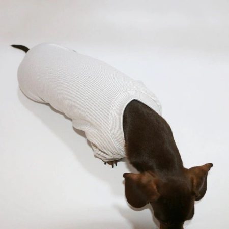 cloudsoft dachshund onesie