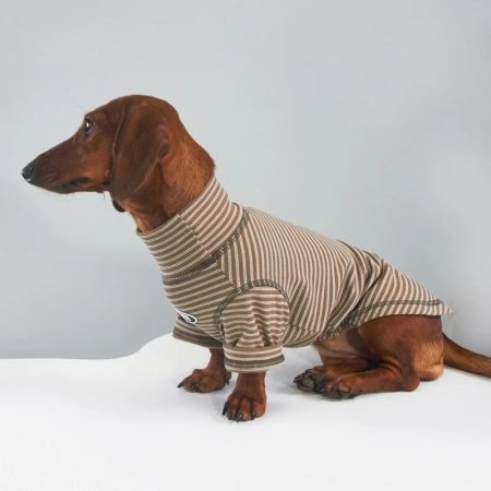 cocoa stripe doxie-t-shirt