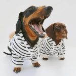 fleece lined dachshund hoodie