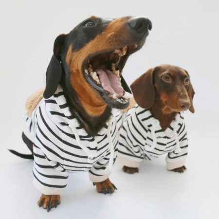 fleece lined dachshund hoodie