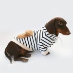 fleece lined dachshund hoodie