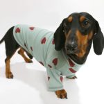 heartpop dachshund sweatshirt