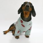 heartpop dachshund sweatshirt