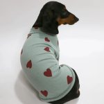 heartpop dachshund sweatshirt