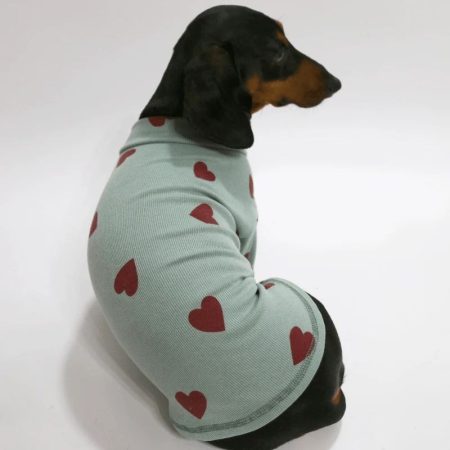 heartpop dachshund sweatshirt