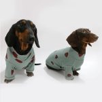 heartpop dachshund sweatshirt