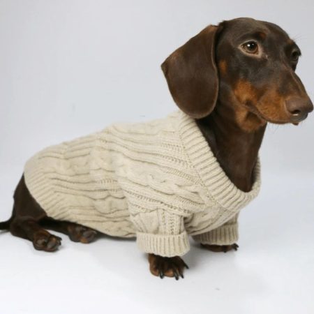 knit dachshund jumper