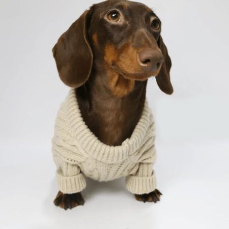 knit dachshund jumper