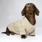knit dachshund jumper