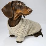 knit dachshund jumper