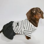 little black dachshund dress