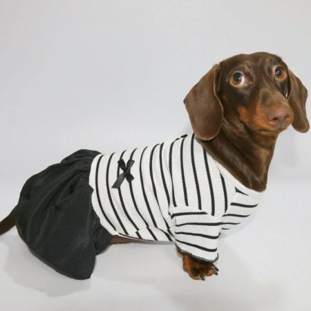 little black dachshund dress