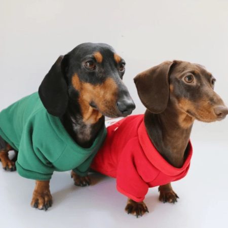 merrydox dachshund christmas hoodie