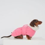 mint blush doxie puffer