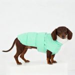mint blush doxie puffer