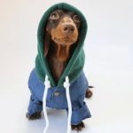 nyc denim dachshund jacket