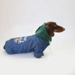 nyc denim dachshund jacket