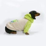 planetb cozy doxie hoodie
