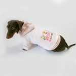 prince charming dachshund hoodie