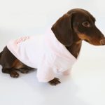 prince charming dachshund hoodie