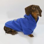 prince charming dachshund hoodie